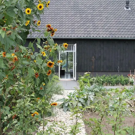 Barthenhorst