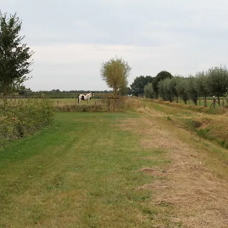 Barthenhorst 招待所 *